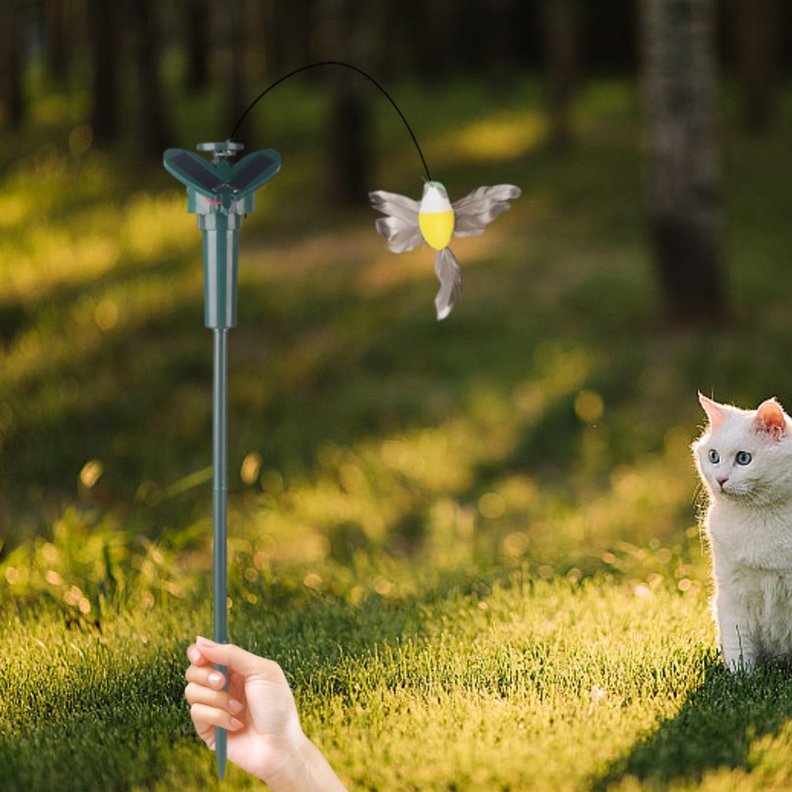 Solar-Tierfigur für den Garten – Outdoor Power For Gazebo Bewertung und Preis